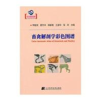 畜禽解剖学彩色图谱(辽宁省自然科学著作)