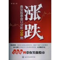 123 涨跌:典型股票盘口分析108例
