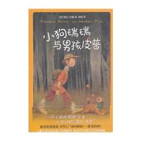 小狗瑞瑞与男孩皮普(小狗与男孩寻爱的故事