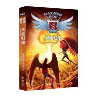 疾速天使系列(第八部)：天使归来