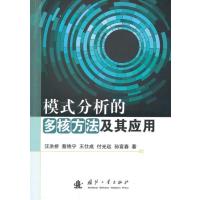 123 模式分析的多核方法及其应用