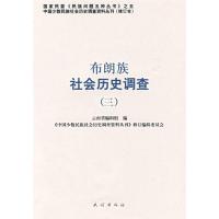布朗族社会历史调查(三)
