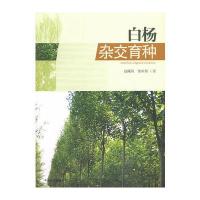 白杨杂交育种
