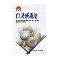 白灵菇栽培——新农村建设实用技术丛书