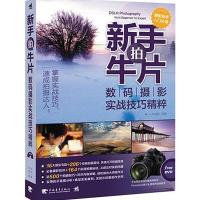 123 新手拍牛片:数码摄影实战技巧精粹
