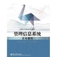 123 管理信息系统实用教程