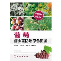 123 果树病虫害防治丛书--葡萄病虫害防治原色图鉴
