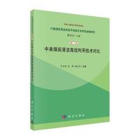 中美煤炭清洁高效利用技术对比