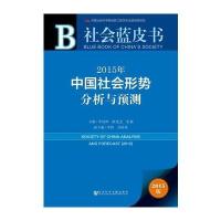 社会蓝皮书:2015年中国社会形势分析与预测