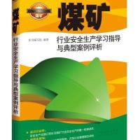 123 煤矿行业安全生产学习指导与典型案例评析