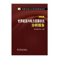 能源与电力分析年度报告系列 2014世界能源与电力发展状况分析报告