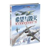希望与毁灭：第三帝国空军的后一年