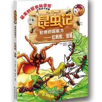 昆虫记 狡猾的超能力—红蚂蚁、狼蛛