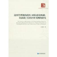 边界管理视角的X-团队建设机制：以新疆/兵团企业为例的研究
