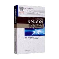 123 安全防范系统脆弱性评估