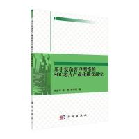 123 基于复杂客户网络的SOC芯片产业化模式研究