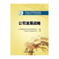 全国电力继续教育规划教材 公司新员工入职适用教材 公司发展战略