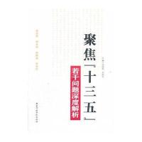 123 聚焦“十三五”若干问题深度解析