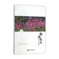 123 朝鲜战争的文化解读