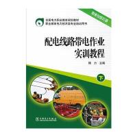 全国电力职业教育规划教材 配电线路带电作业实训教程(下)