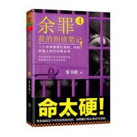 余罪4：我的刑侦笔记
