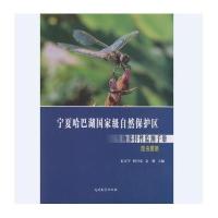 123 宁夏哈巴湖自然保护区生物多样性监测手册—昆虫图册