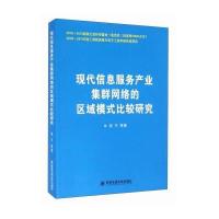 123 现代信息服务产业集群网络的区域模式比较研究