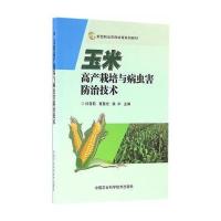 玉米高产栽培与病虫害防治技术