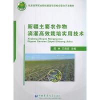 123 新疆主要农作物滴灌高效栽培实用技术