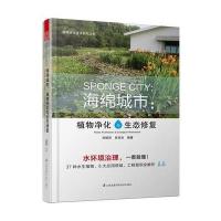 123 海绵城市:植物净化与生态修复