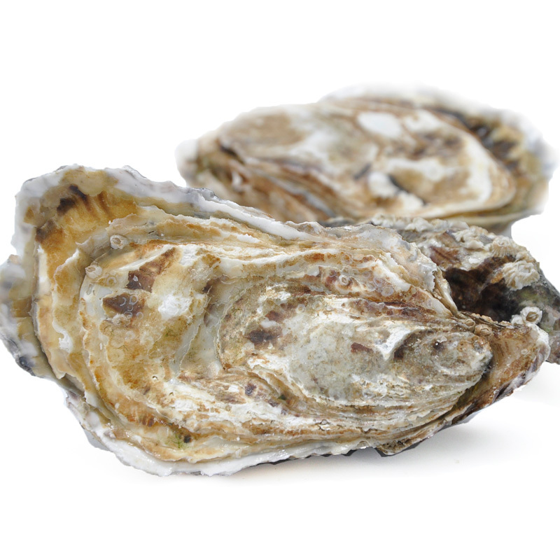 苏宁易购超市法国黑珍珠生蚝n224粒85106g粒