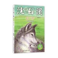 狼王梦3本(1绝境重生)+魂断荒野+王者之魂 动物小说大王沈石溪注音版读本全三册 低年级小学生学校推荐读物书籍