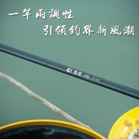 本汀鱼竿19调超硬钓鱼竿碳素材质鱼竿鲤鱼竿套装黑坑竞技战斗竿台钓竿罗非手竿特价