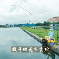 本汀鱼竿19调超硬钓鱼竿碳素材质鱼竿鲤鱼竿套装黑坑竞技战斗竿台钓竿罗非手竿特价