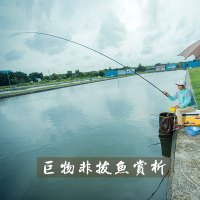 本汀鱼竿19调超硬钓鱼竿碳素材质鱼竿鲤鱼竿套装黑坑竞技战斗竿台钓竿罗非手竿特价