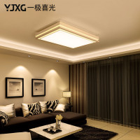 一极喜光(YIJIXIGUANG)现代简约大气客厅灯卧室灯led灯具组合套餐吸顶灯套餐长方形客厅灯具三色光