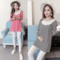 2017春秋韩版长袖纯棉蕾丝娃娃领条纹大码孕妇打底上衣JS083 1861