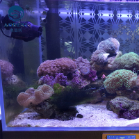AODESI 奥德斯欧式海水鱼缸 珊瑚鱼缸0.6米0.8米1米1.2米1.5米1.8米水族箱 定制鱼缸生态缸