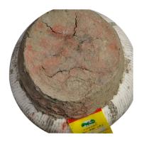 绍兴黄酒会稽山2019年冬酿原酒 加饭花雕酒10KG 泥头坛装10L