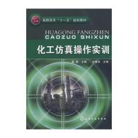 化工仿真操作实训(陈群)