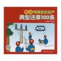 图说电网安全生产典型违章100条