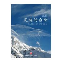 灵魂的台阶(王石“灵魂三部曲”之三，攀登生命的高峰)