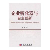 企业孵化器与自主创新