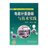 电能计量基础与技术实践