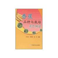 香蕉品种与栽培彩色图说