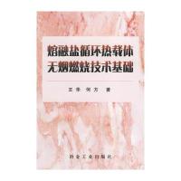 熔融盐循环热载体无烟燃烧技术基础