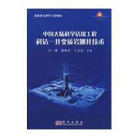 中国大陆科学钻探工程科钻——井变质岩测井技术 精