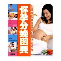 怀孕分娩图典