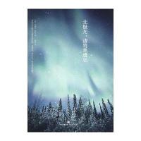 北极光 请将我遗忘