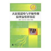 大屏幕彩电与平板电视原理及维修教程